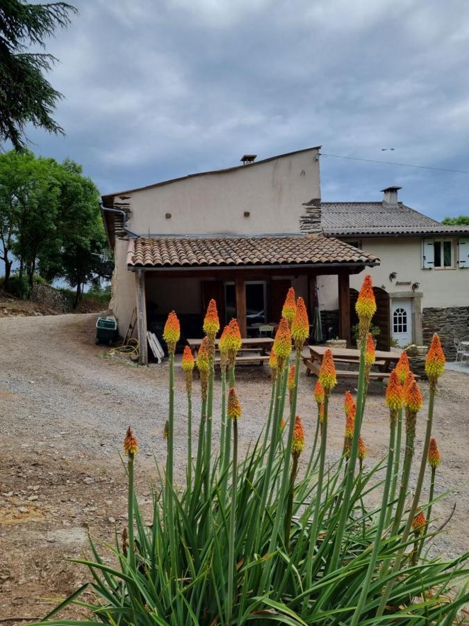 L'Oeil De Carcassonne Villa Caudebronde ภายนอก รูปภาพ